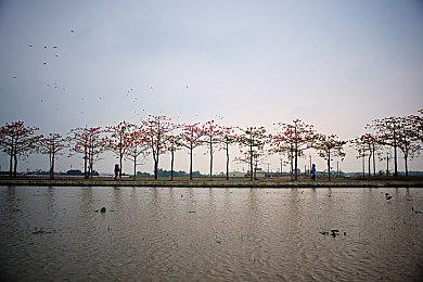 《永劫无间》新英雄“末路之鬼·武田信忠” 5月上线